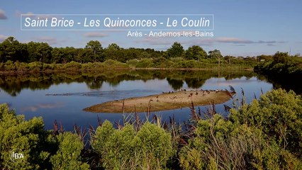 Les espaces naturels du Bassin d'Arcachon