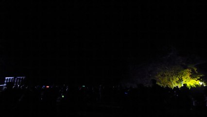 Sherborne Castle Fireworks (2017) - Crowd