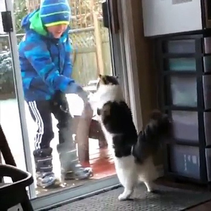 Have you ever seen your pet have so much fun in the snow?! ❄️