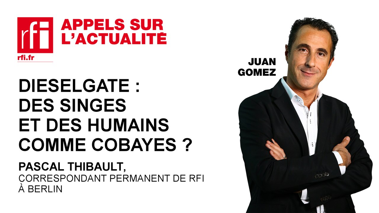 Dieselgate : des singes et des humains comme cobayes  ?