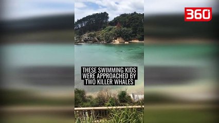 Fëmijët po laheshin në det, prindërit e tyre tmerrohen kur pranë i kalojnë... (360video)