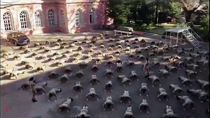 Kadın subaylardan tüyleri diken diken eden çalışma