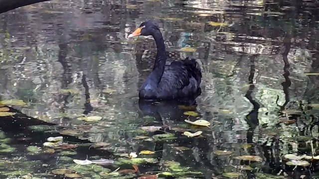 Delhi Zoo | Delhi National Zoological Park