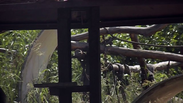 National Zoological Park, Pragati Maidan, Delhi