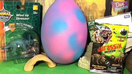 GIANT DINOSAUR SURPRISE EGG for kids! INDOMINUS REX VS T-REX!