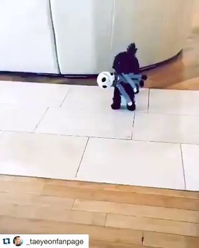 Taeyeon - Ginger - stephanieyoungh Super chic#girlsgeneration #소녀시대 @xolovestephi