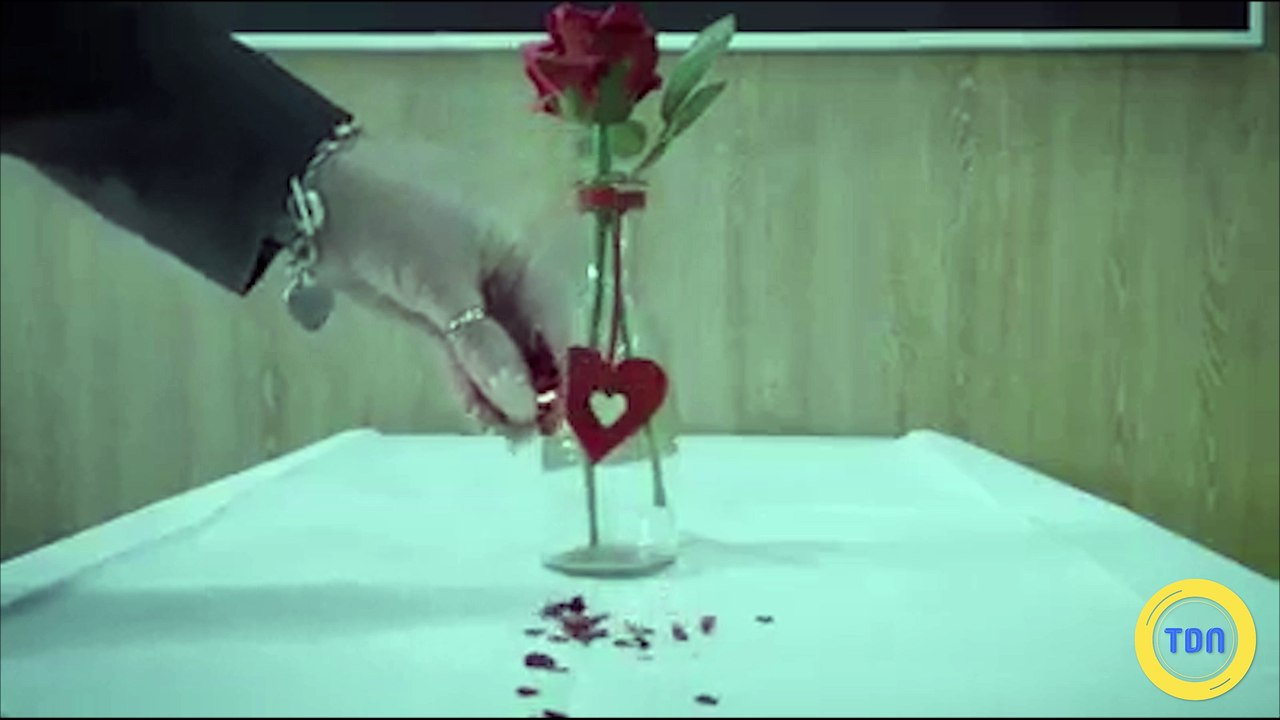 Un McDo pour la Saint-Valentin
