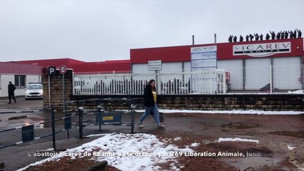 Les militants de 269 Libération Animale ont occupés l'abattoir de la Sicarev de Roanne