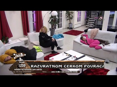 HAOS / MACA I GOCA SVADJA