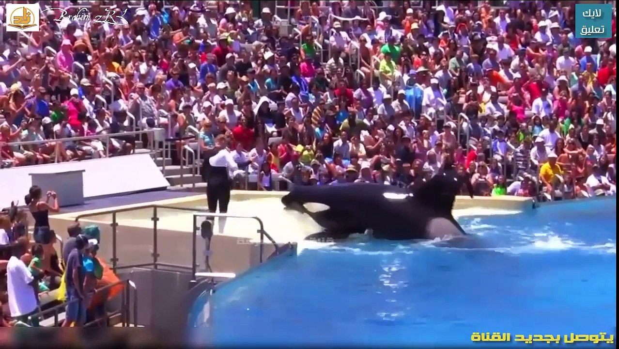 مذهل !! العــرض الـذي يجب عليك مشاهـدته مرة واحدة على الاقل في حياتك !! روووعة ! لا يفوتك