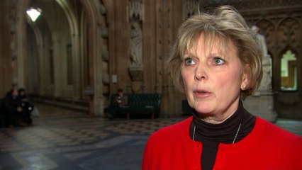 Anna Soubry slams 'foolish' move to leave customs union