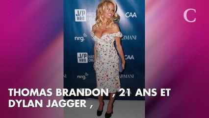 Pamela Anderson amoureuse, Marlène Schiappa maman gaga, Jonathann Daval soutenu par son frère