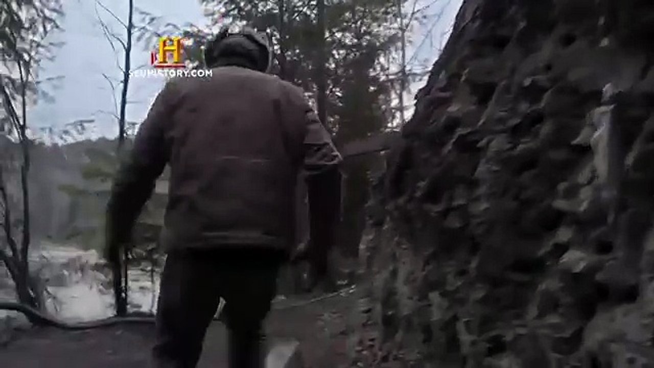 VIVENDO NAS ÁRVORES - Episódio inédito ESTA NOITE às 22h55