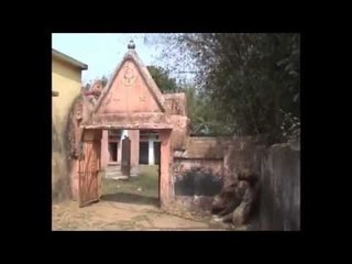 Samrat Ashoka here established shivling