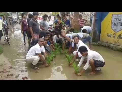 in bihar anger on damage road made people paddy on way