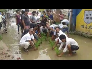 in bihar anger on damage road made people paddy on way