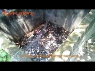 15-foot python caught in trap