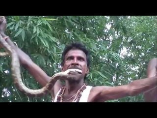 Weak hearted people don't watch this video of snake