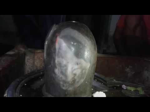 Bihar Saran temple of Shiva