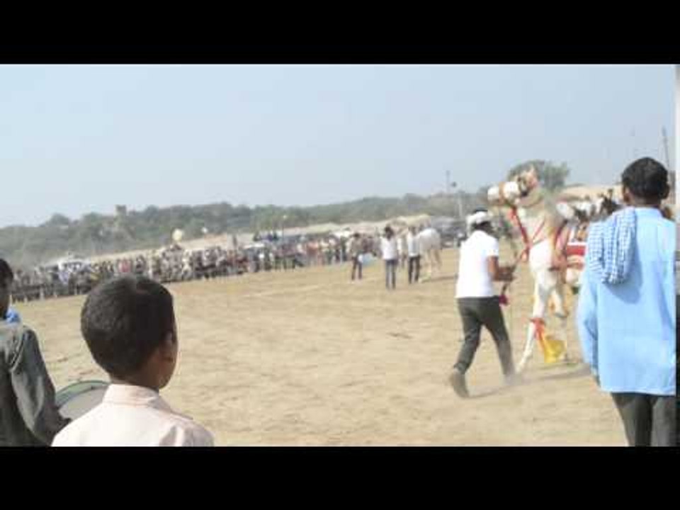 Horse Show in Agra of Uttar Pradesh