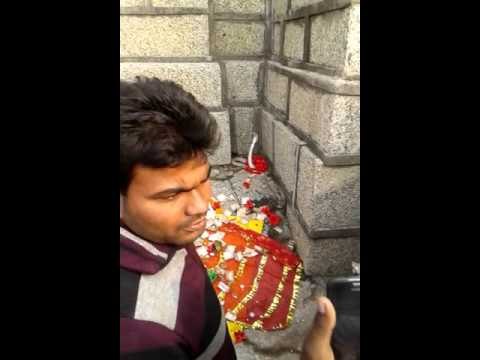 औरंगाबाद के उमगा मंदिर में नाग निकला, हजारों की भीड़ उमड़ी