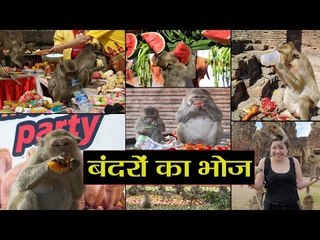 The monkeys in this city of Thailand "royal feast" II बंदरों के लिए विशेष भोज