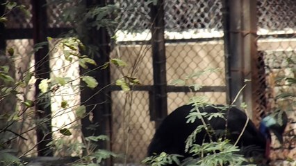 Delhi Zoo | Glimpse of India