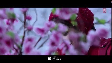 SANAM RE REMIX Video Song _ DJ Chetas _ Pulkit Samrat, Yami Gautam _ Divya Khosla Kumar _ T-Series ( 240 X 426 )