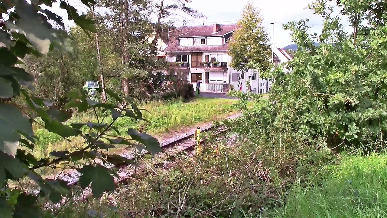 Am Bahnhof Burgbrohl Weiler