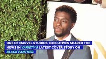Chadwick Boseman Never Auditioned For the Role of Black Panther