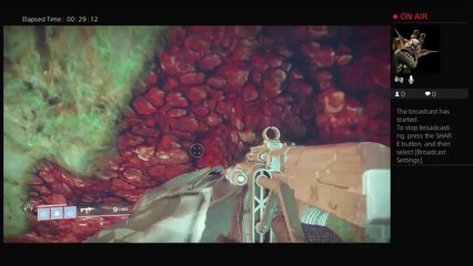 PLAYING DESTINY 2 WITH FRIENDS (30)