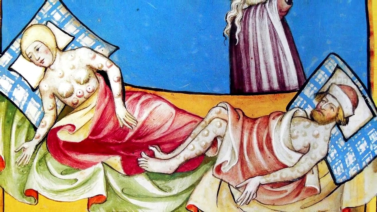 The 9 Most Painful and Deadliest Insect Bites