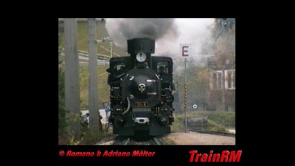 Mit der Mh.6 nach Mariazell - Mariazell-Laubenbachmühle