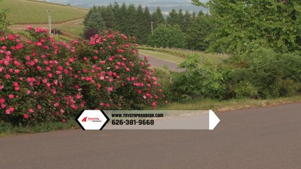 2018 Toyota Camry Glendora, CA | Toyota Camry Pasadena, CA