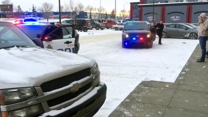 Grand Theft Auto Gone Wrong