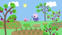 Peppa Pig em Português | Plantando sementes de morango | Desenhos Animados | Desenhos Animados