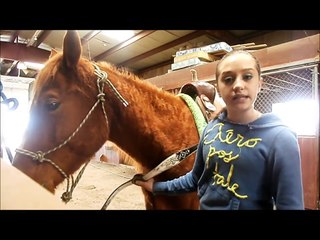How To Tack Up A Horse - Western Style
