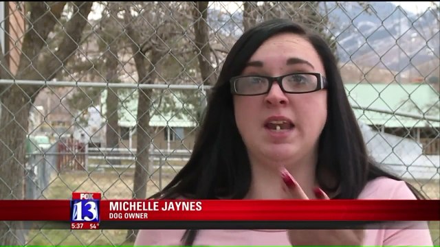 Utah Residents Say Someone is Breaking into Their Yards, Letting Dogs Loose