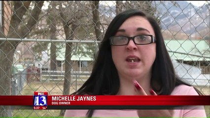 Utah Residents Say Someone is Breaking into Their Yards, Letting Dogs Loose