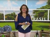 PORTA CARTÕES EM CARTONAGEM com Patrícia Godói - Programa Arte Brasil - 01/11/2016
