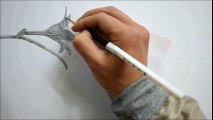 연필드로잉 - 벌새 그리기 [ Drawing animals - Hummingbird / Speed drawing ]