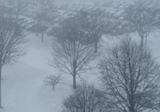 Several Inches of Snow Blankets Central Iowa