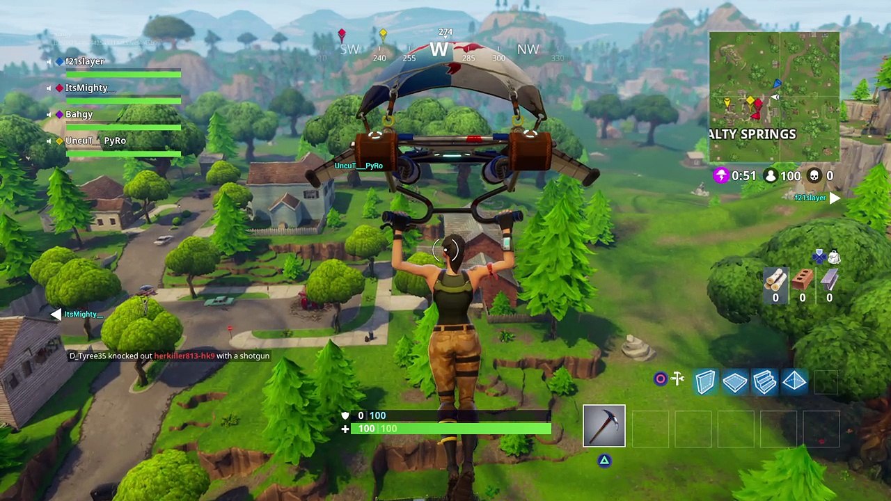 Fortnite Win