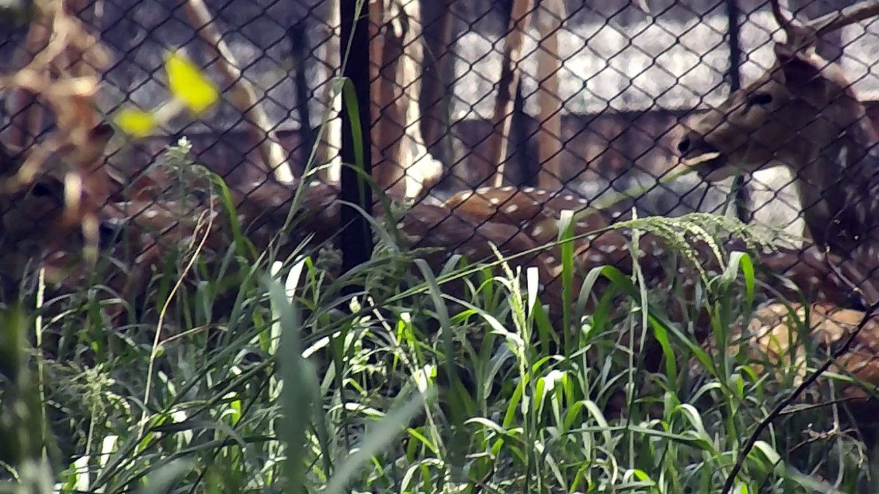 Delhi zoo visit