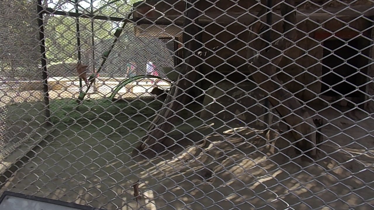 New Delhi Zoo