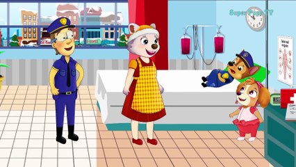 Paw Patrol Cartoon Chase & Skye Play Basketball With Sweetie! Finger Family Song Nursery Rhymes