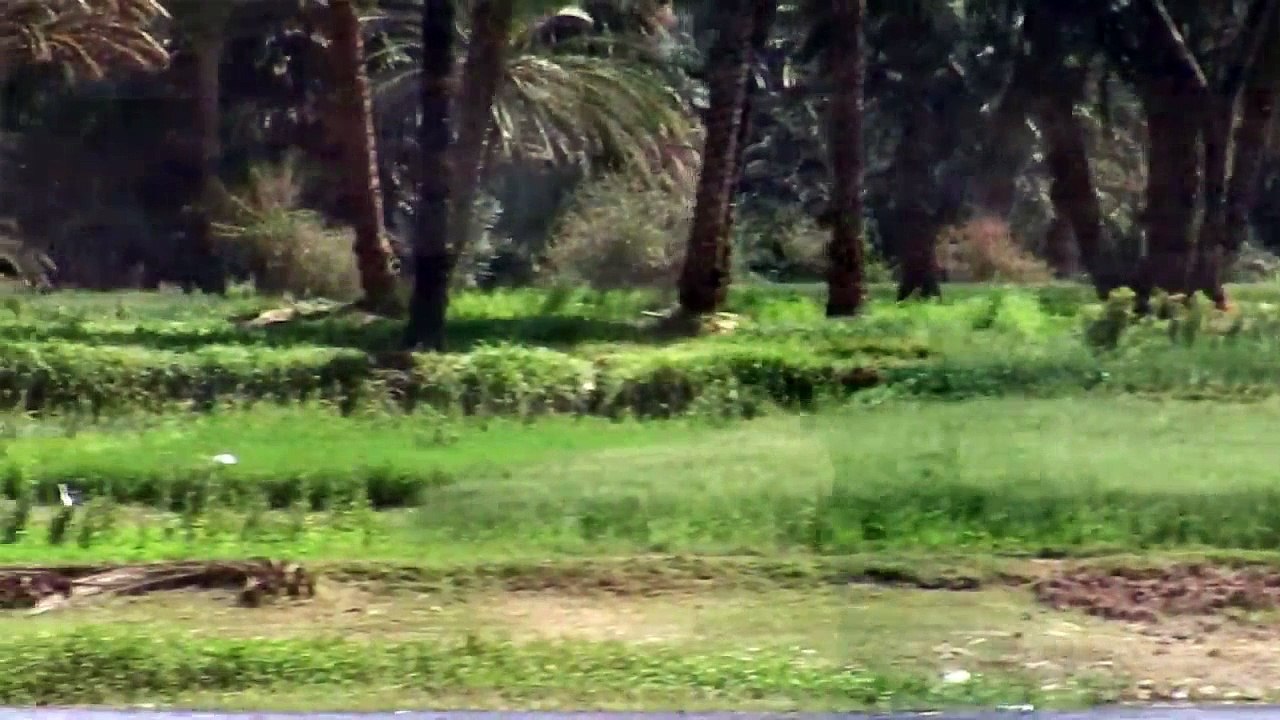 The Pyramid Code Series 1 1of5 The Band of Peace