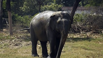 Delhi zoo to have colourful, interesting attractions