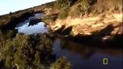 Animal Planet -  Killing Machines - Animals of the wild