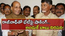Rajnath Singh Meets TDP MPs And Saves TDP-BJP Alliance